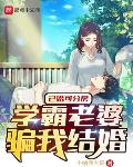 已婚可分房，学霸老婆骗我结婚